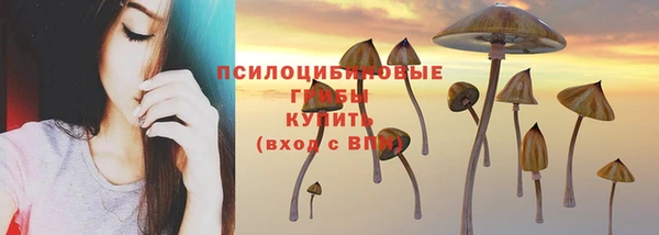 2c-b Абинск