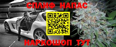 шишки Ливны