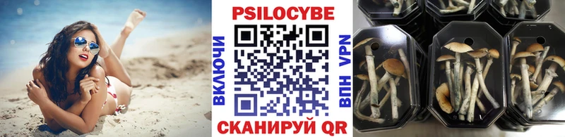Галлюциногенные грибы Cubensis  Кострома 