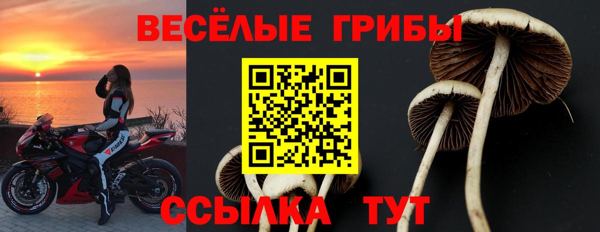 Галлюциногенные грибы прущие грибы  Псилоцибиновые грибы мухоморы  Кострома  Вход с VPN 